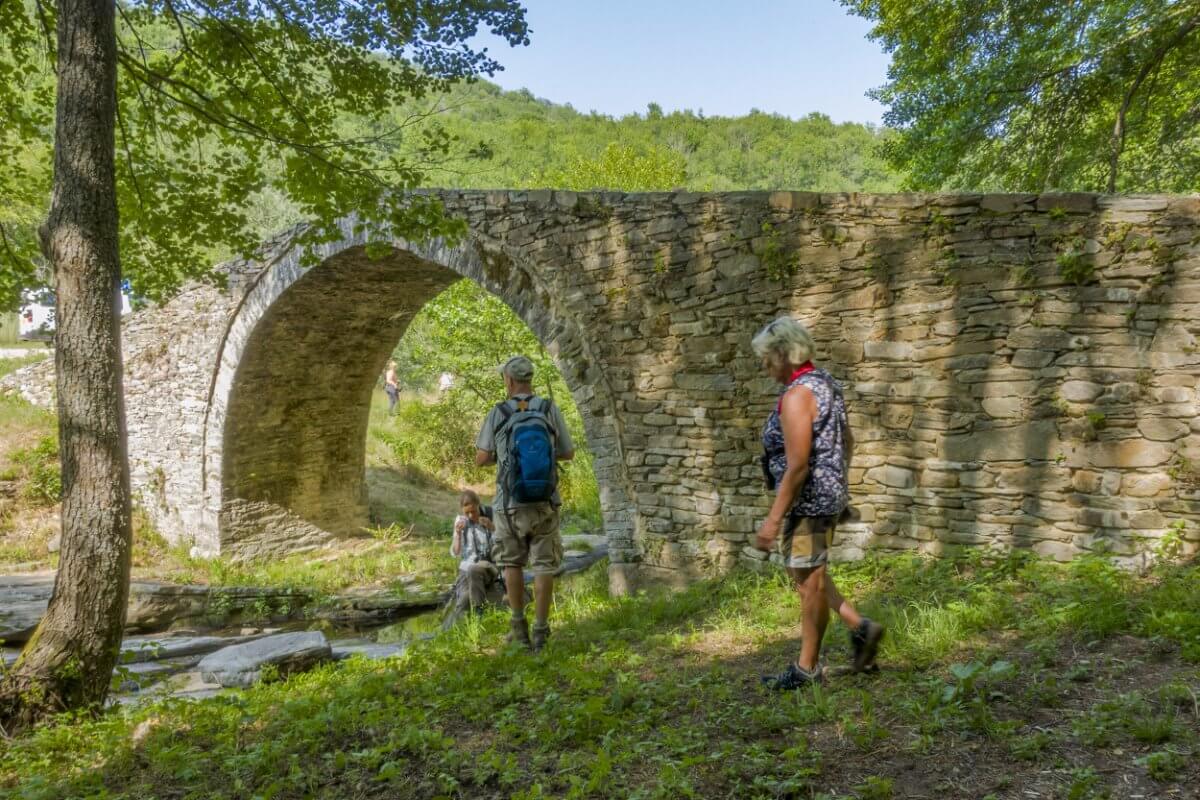 fe2506_8559-bewerkt_©wildernisfoto